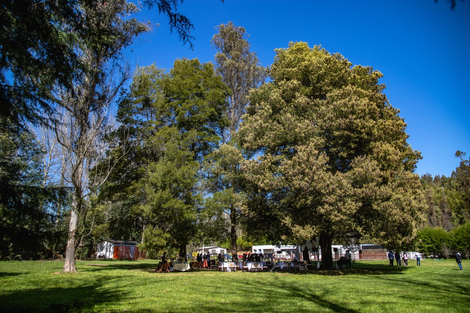 Paseo de curso Colegio